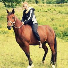 Traver Torino (Know It All)