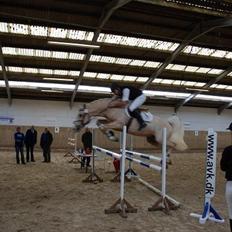 Frederiksborg Sargo vejleby