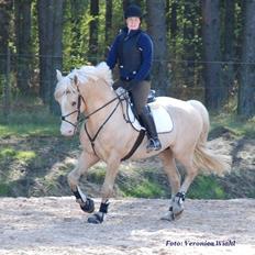 Frederiksborg Sargo vejleby