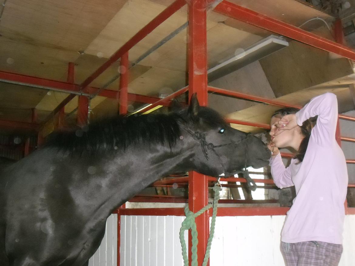 Anden særlig race Anastacia Diniel  - Trick smile på komando! :-)  billede 5