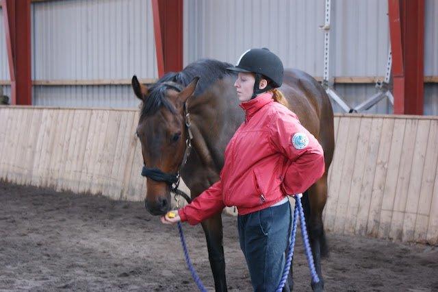 Dansk Varmblod Låise - BBH træningslejr 2012 - Klikkertræning. billede 14