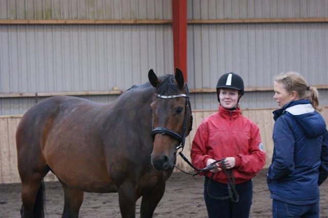 Dansk Varmblod Låise - BBH træningslejr 2012 - Jordtræning. billede 17