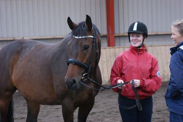 Dansk Varmblod Låise - BBH træningslejr 2012 - Jordtræning. billede 1