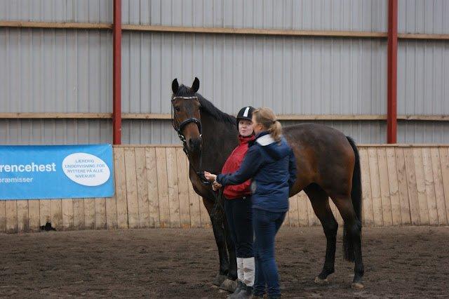 Dansk Varmblod Låise - BBH træningslejr 2012 billede 18