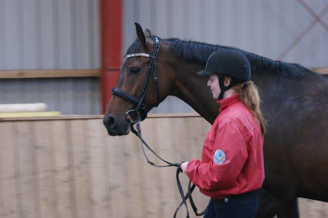 Dansk Varmblod Låise - BBH træningslejr 2012 billede 19