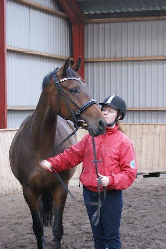 Dansk Varmblod Låise - BBH træningslejr 2012
Smuk hest - Knap så smuk ejer :P billede 20