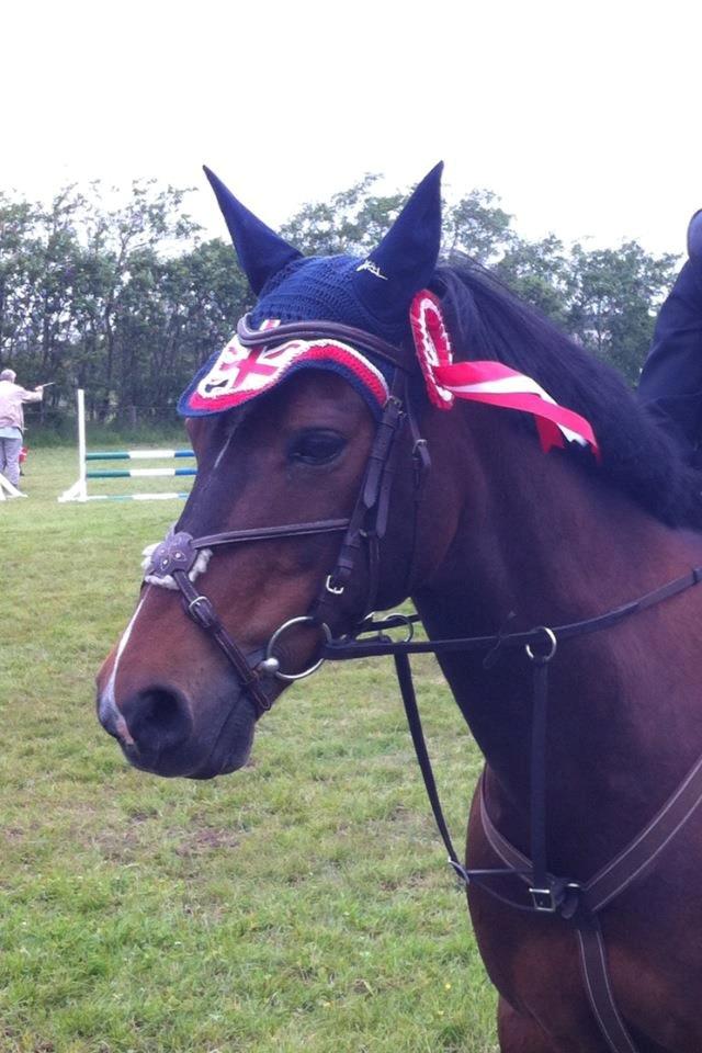 Anden særlig race Jussie - 1 plads :) billede 4