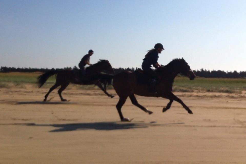 Anden særlig race Jussie - fuld galop da vi var på ferie:-)
-romø strand billede 17