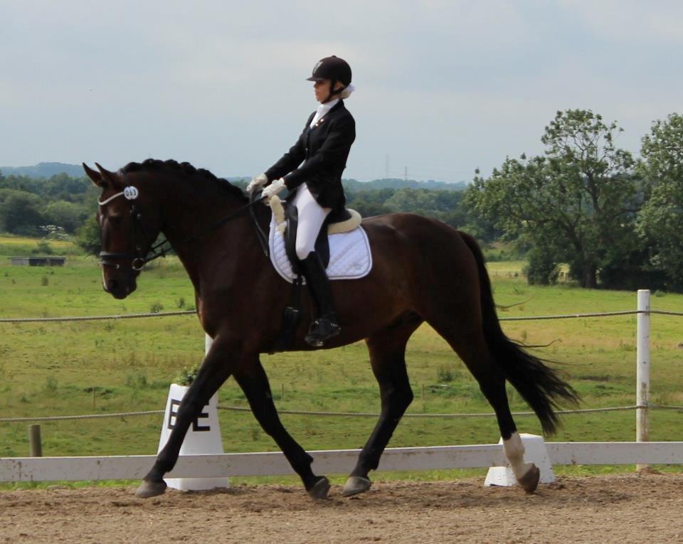 Oldenborg Engelholms brego - Brego!;D billede 1