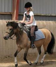 Anden særlig race Bonni - Vi har det bare sjovt! billede 2