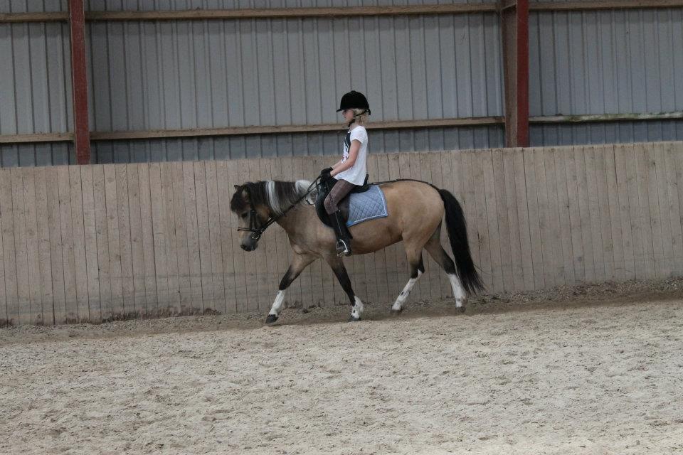 Anden særlig race Bonni billede 6