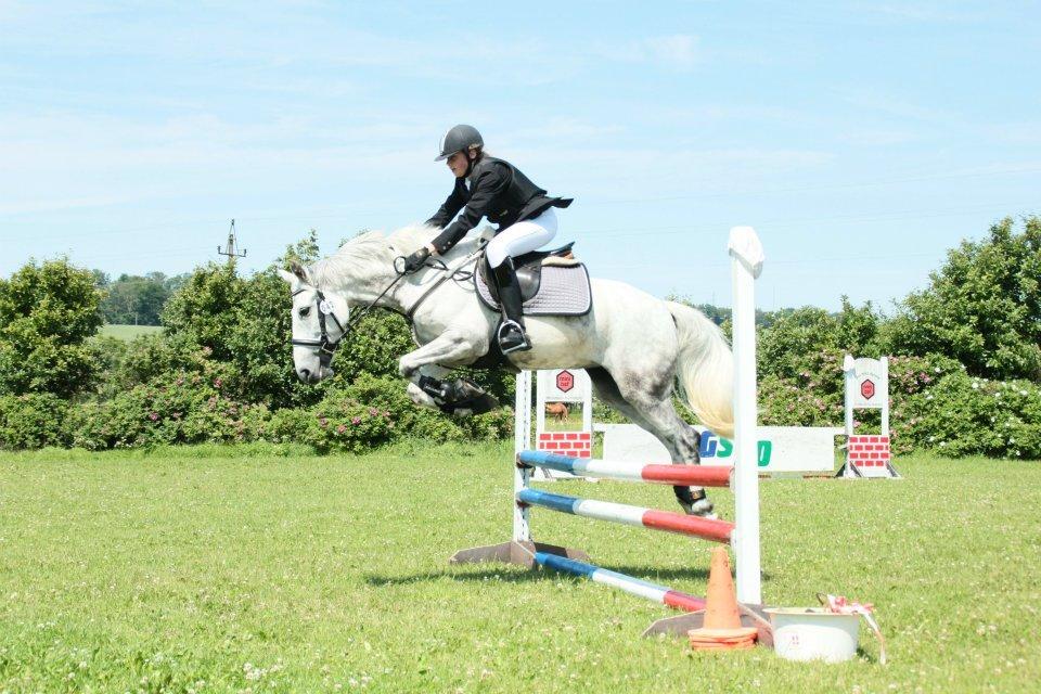 Connemara Thamdrup's Real Joy (solgt) billede 6