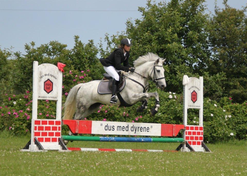 Connemara Thamdrup's Real Joy (solgt) billede 11