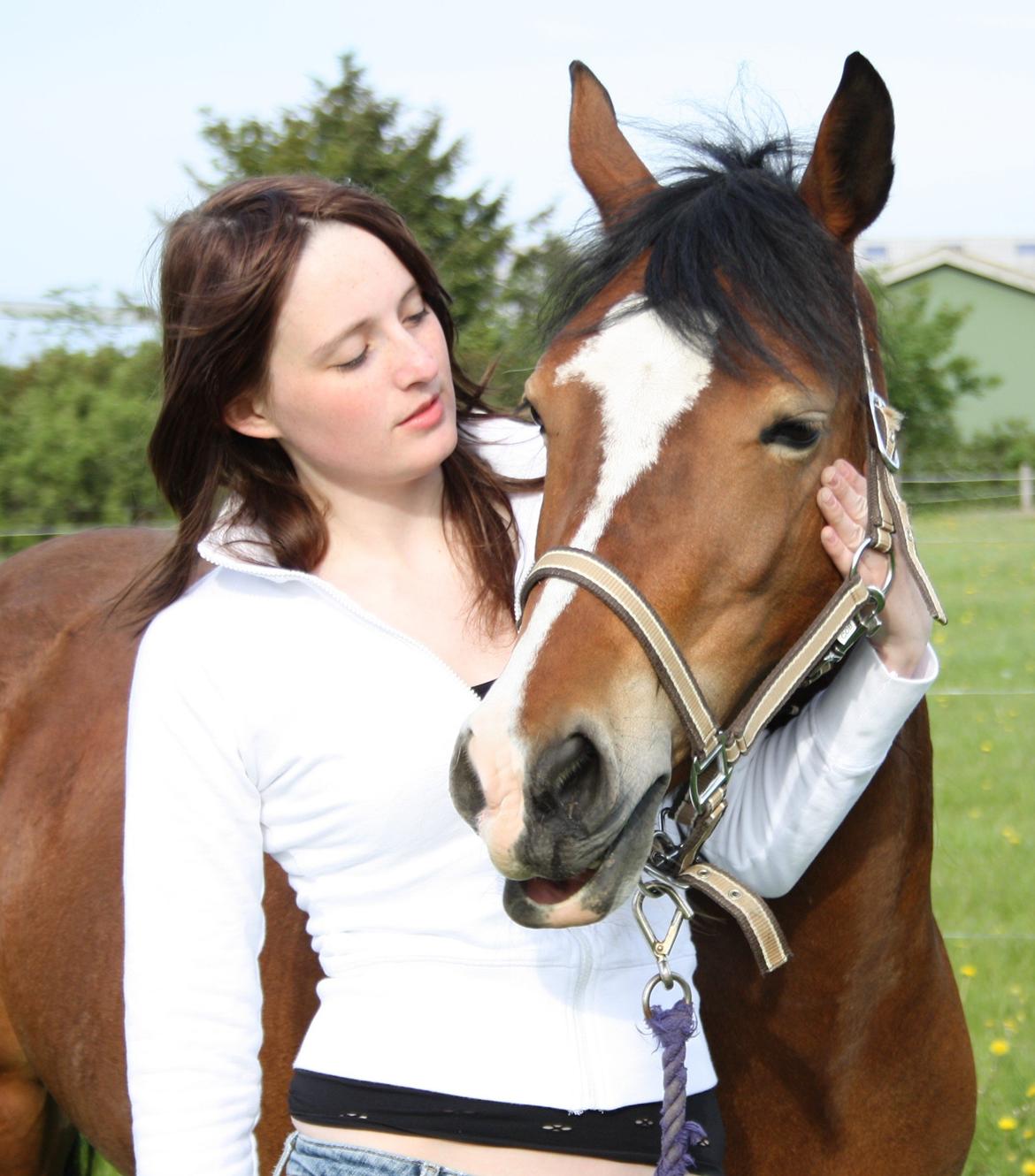 Welsh Cob (sec D) Nebo Tulip - Tulip og mig sammen 2009.. billede 13