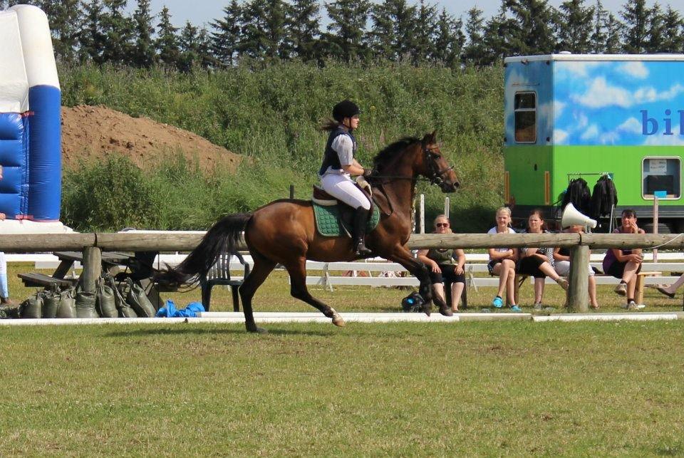 Anden særlig race Countdown - Vores 1. stævne (juli 2012) billede 5