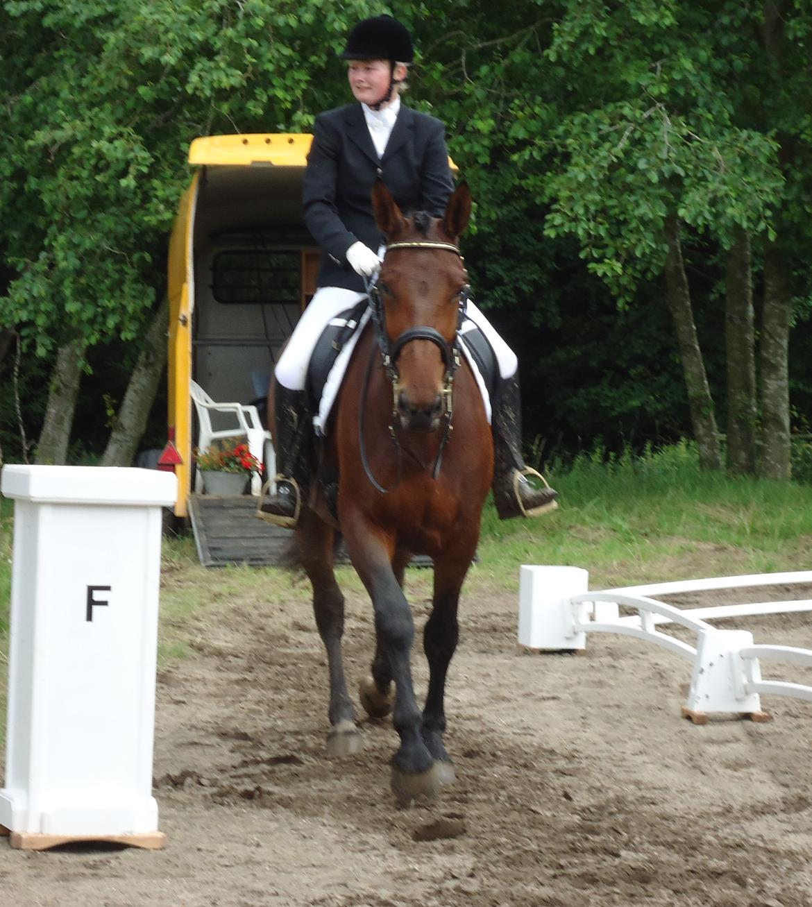 Oldenborg Fleur (Olga) - efter vores første MB0 til jysk rideuge med 62%! tak for turen Olga <3 billede 18