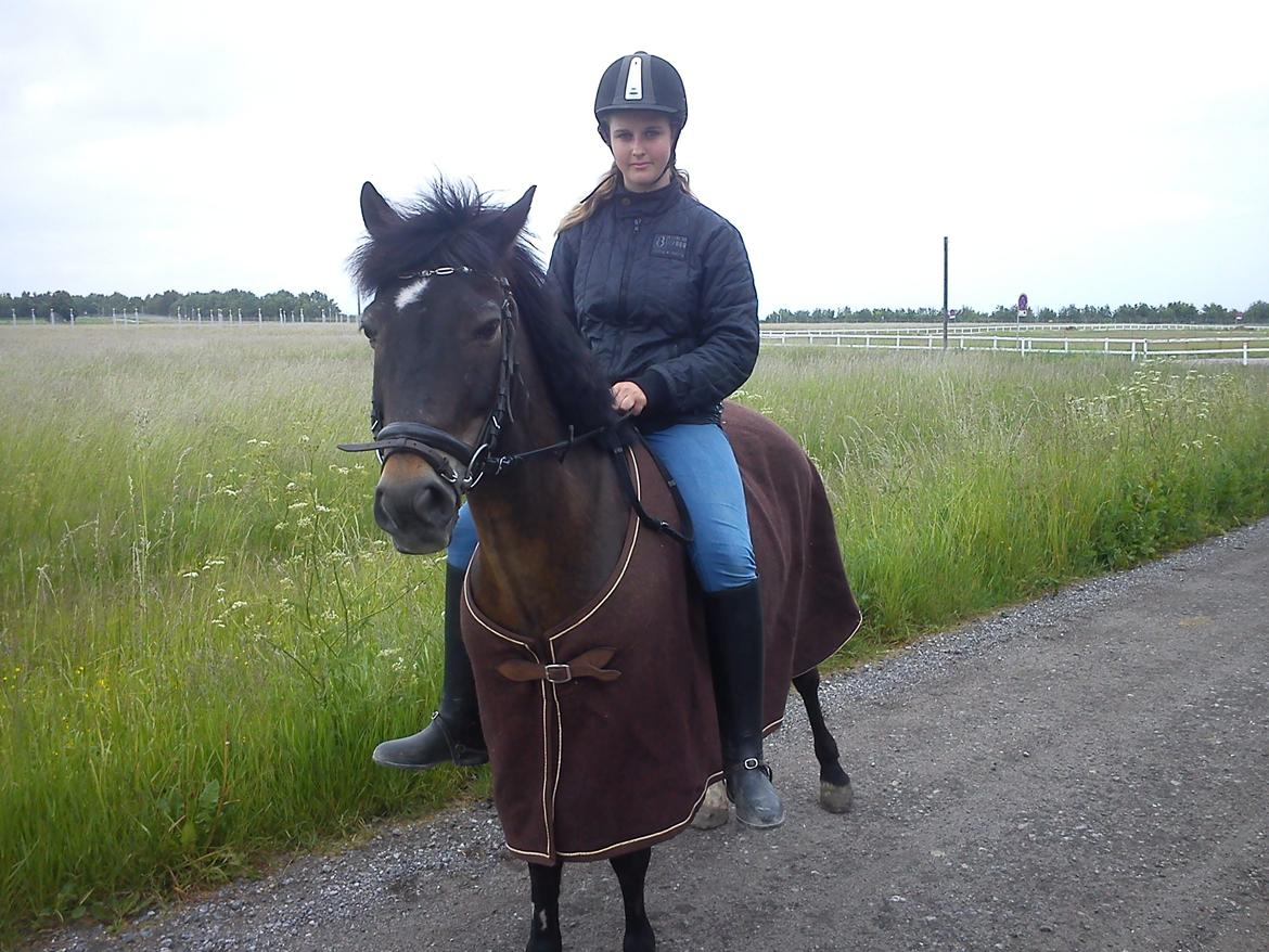 Anden særlig race Kløvermaken`s Hudini billede 15