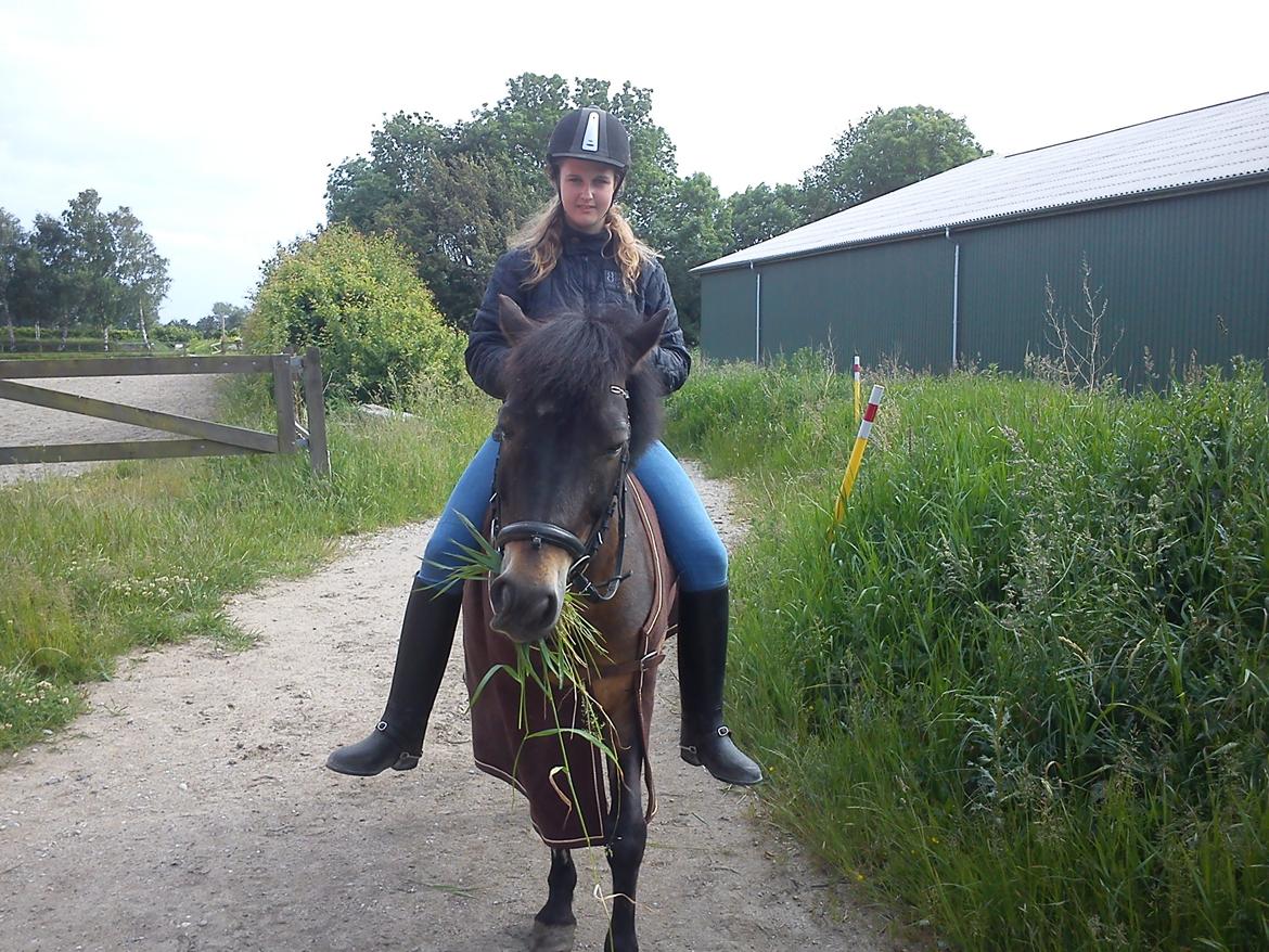 Anden særlig race Kløvermaken`s Hudini billede 17