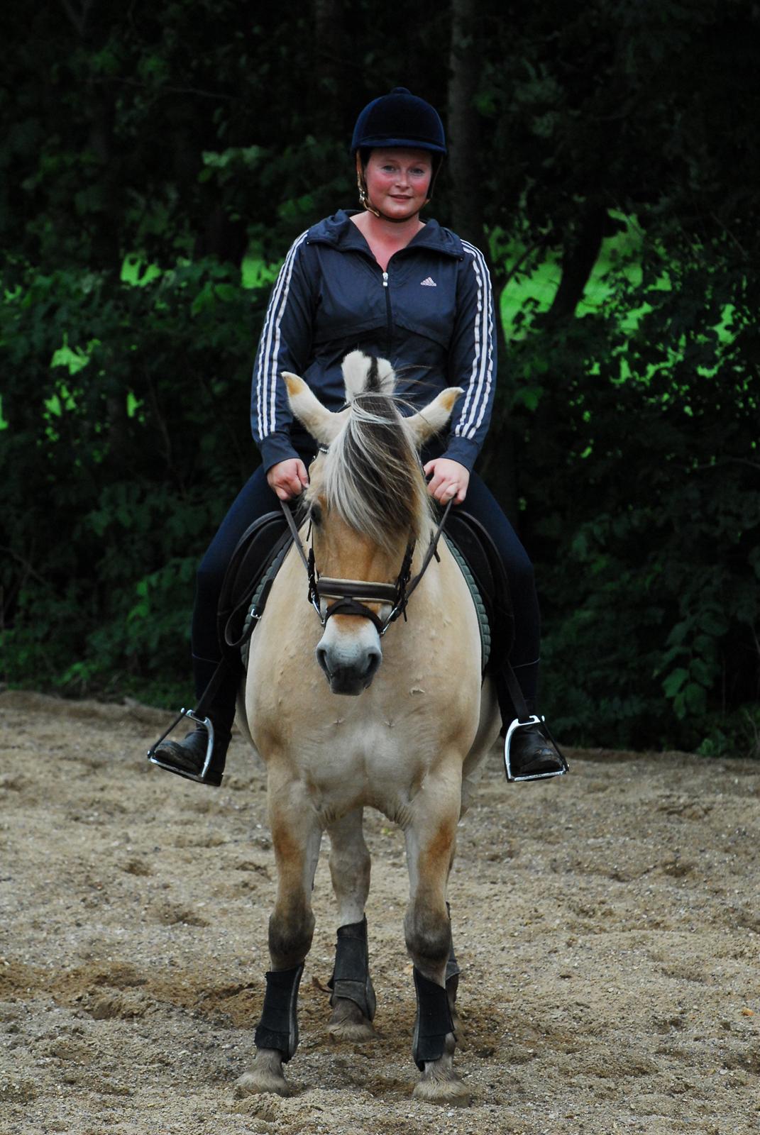 Fjordhest Kvornings Sisse R.I.P 02.12.12 billede 13