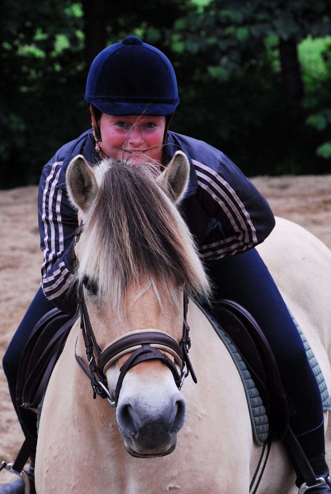 Fjordhest Kvornings Sisse R.I.P 02.12.12 billede 14