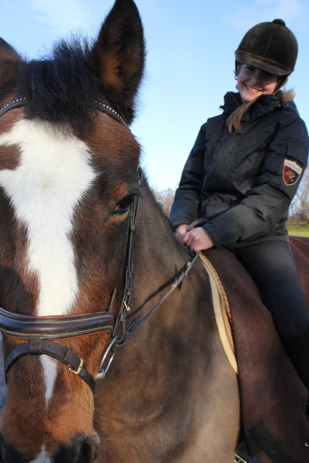 Anden særlig race Jenny Wren - ☮velkommen☮ billede 1