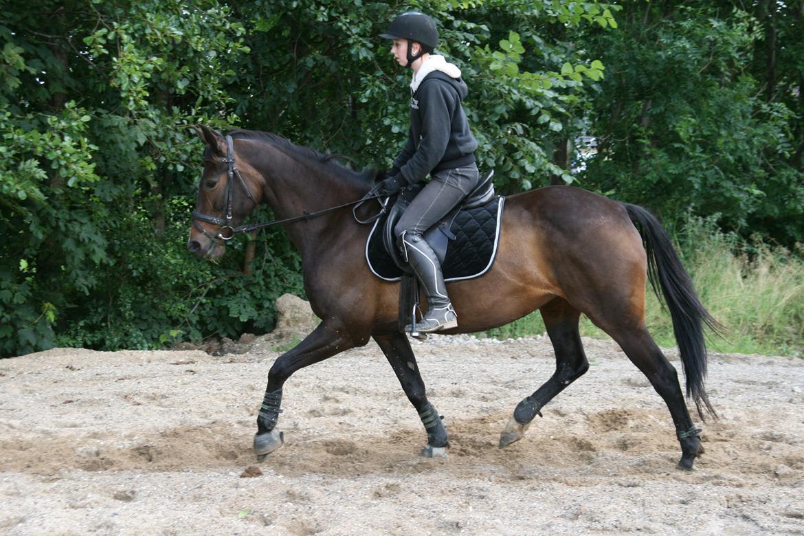 Anden særlig race Rosalin *Gl. part* billede 17