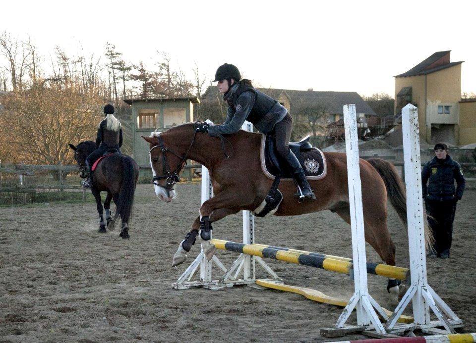 Anden særlig race Pyx Diamond. - Venskab laver smil, der hvor kærelighed laver tåre! - Du er en ener ♥  billede 15