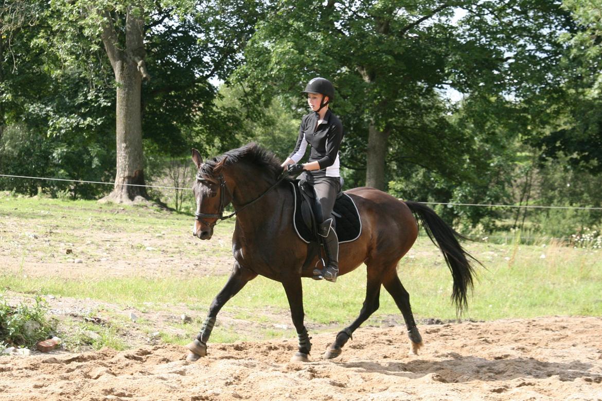 Anden særlig race Rosalin *Gl. part* billede 19