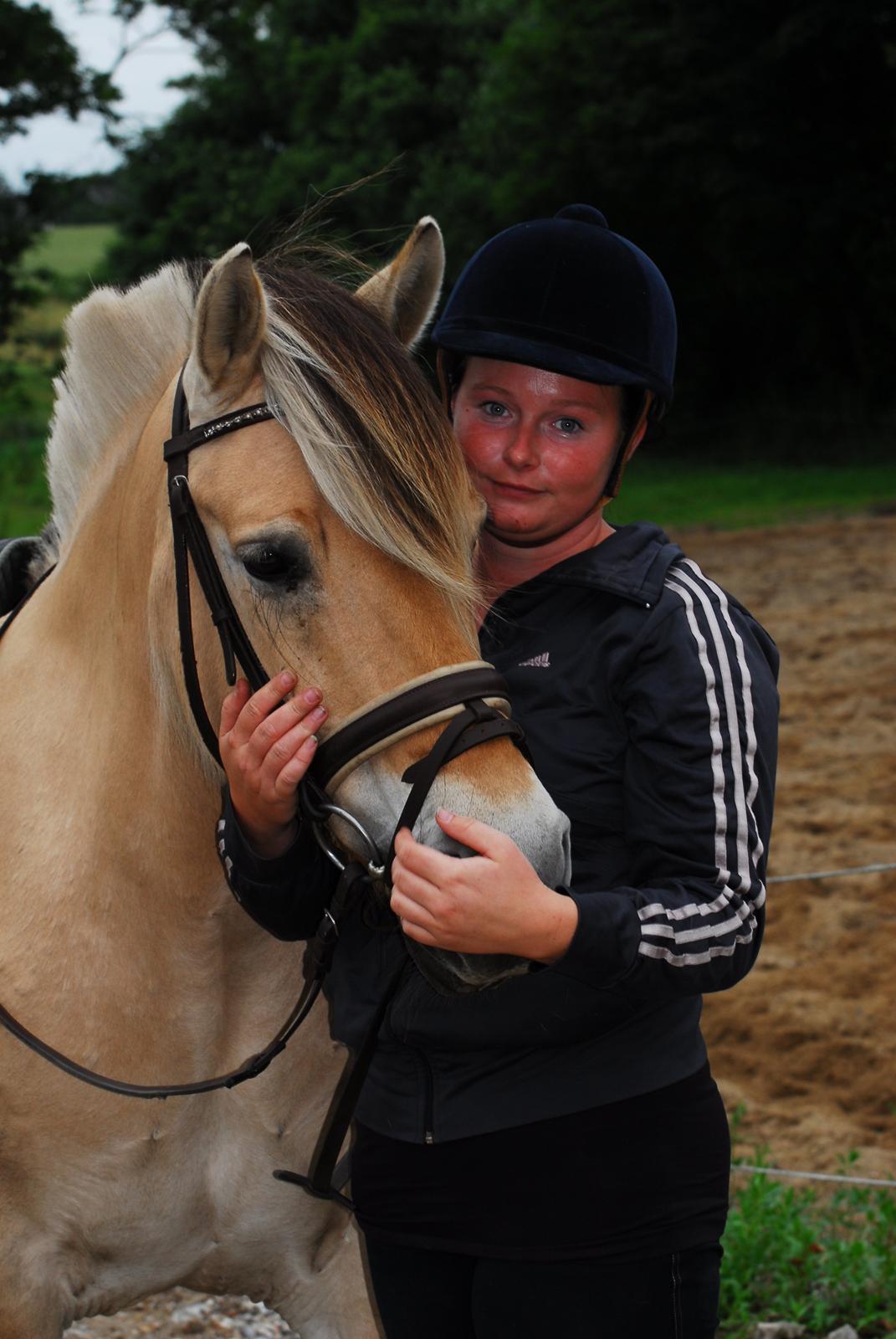 Fjordhest Kvornings Sisse R.I.P 02.12.12 billede 15