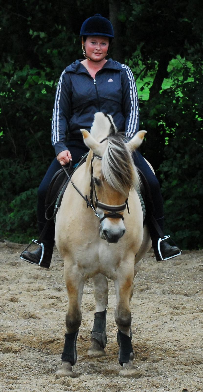 Fjordhest Kvornings Sisse R.I.P 02.12.12 billede 18