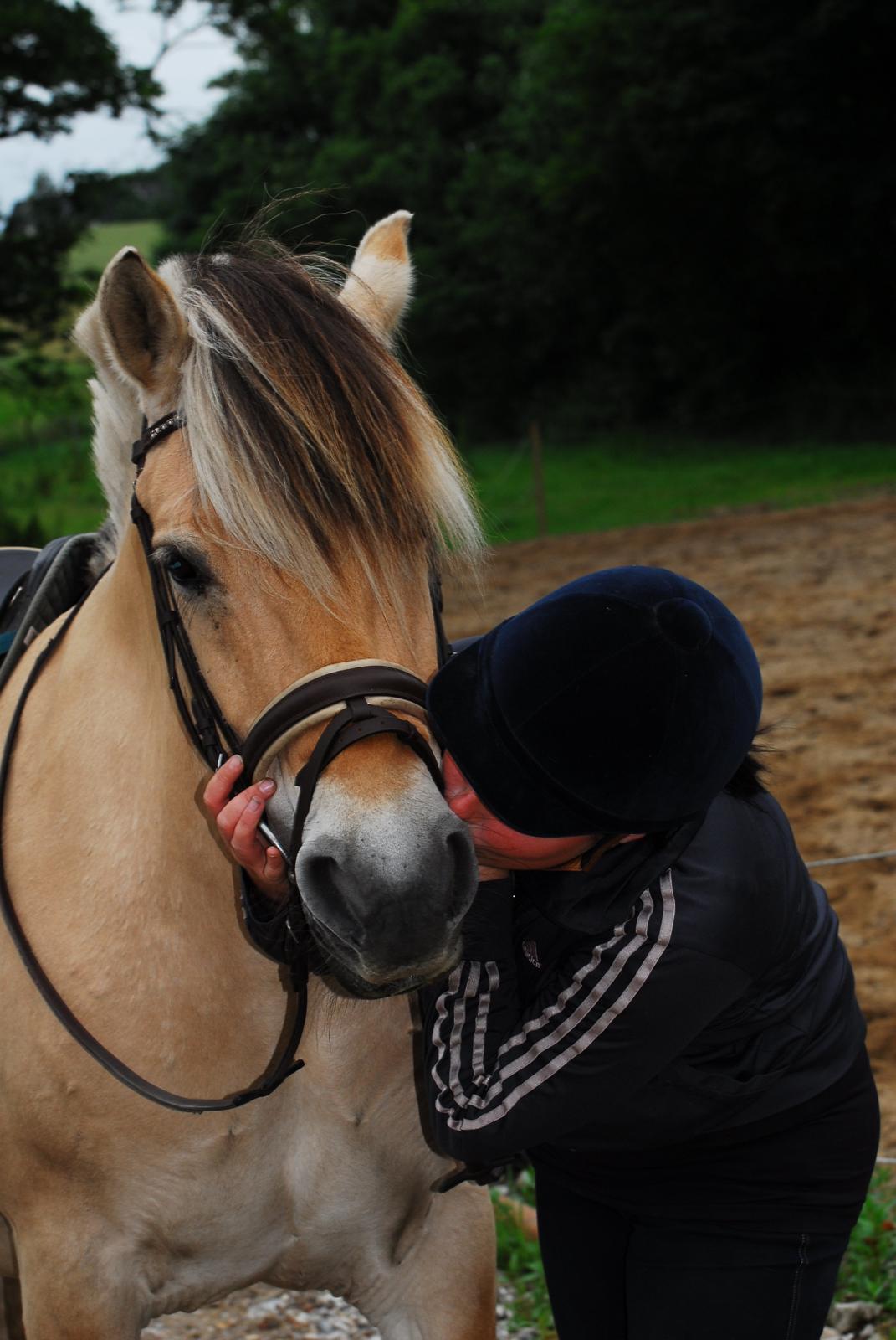 Fjordhest Kvornings Sisse R.I.P 02.12.12 billede 20