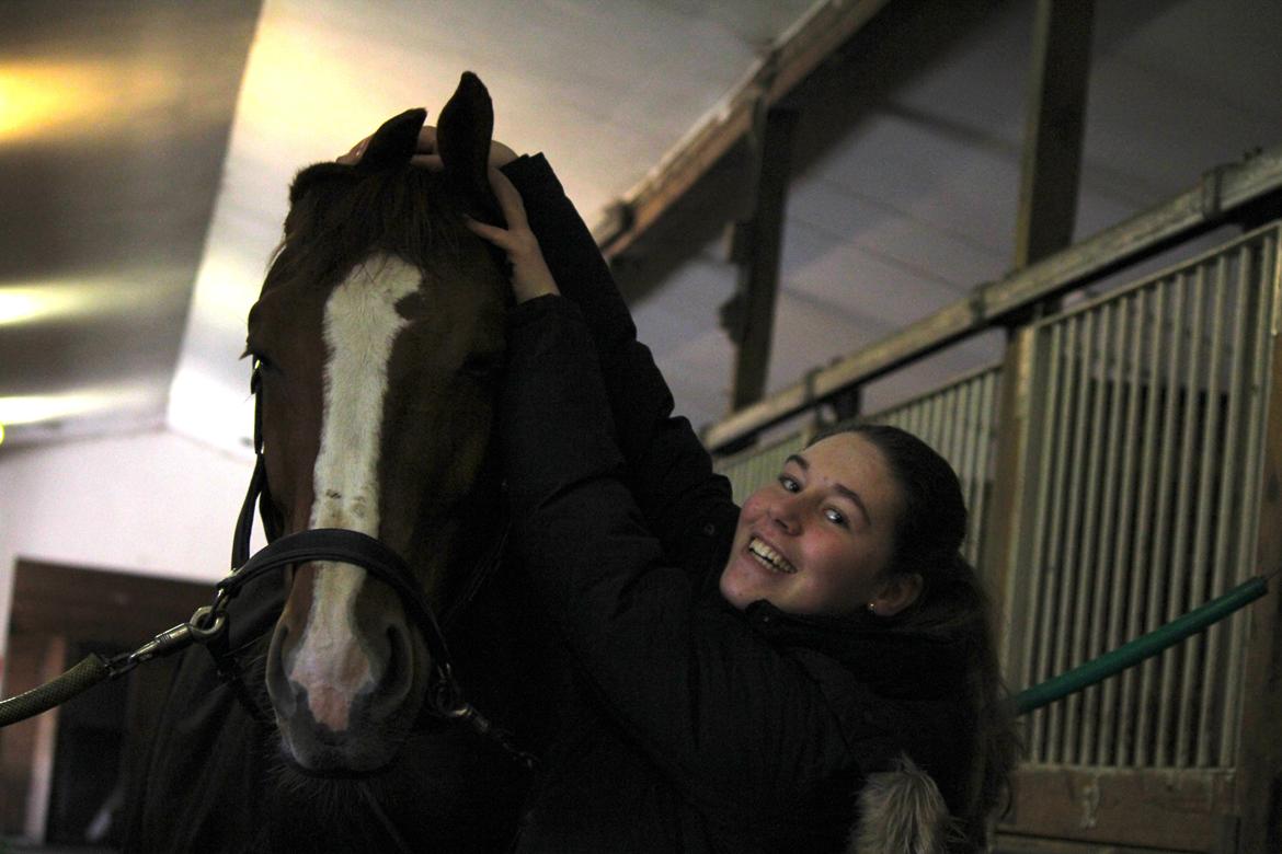 Dansk Varmblod Red Passion - “Jeg tabte min hat, men jeg kan købe en ny. Jeg slog hul på mine bukser men dem kan jeg sy... Min skjorte blev krøllet, men den kan jeg glatte. Men at miste dig kan intet erstatte...”  - Jeg elsker dig <3 Foto: Alice billede 15