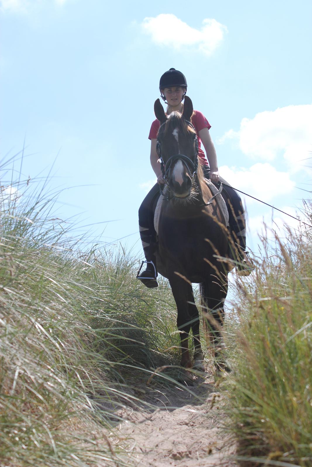 Anden særlig race Miranda (Tidl. hest) - 8) Klitterne i Rødhus FOTO: Min mor! billede 8