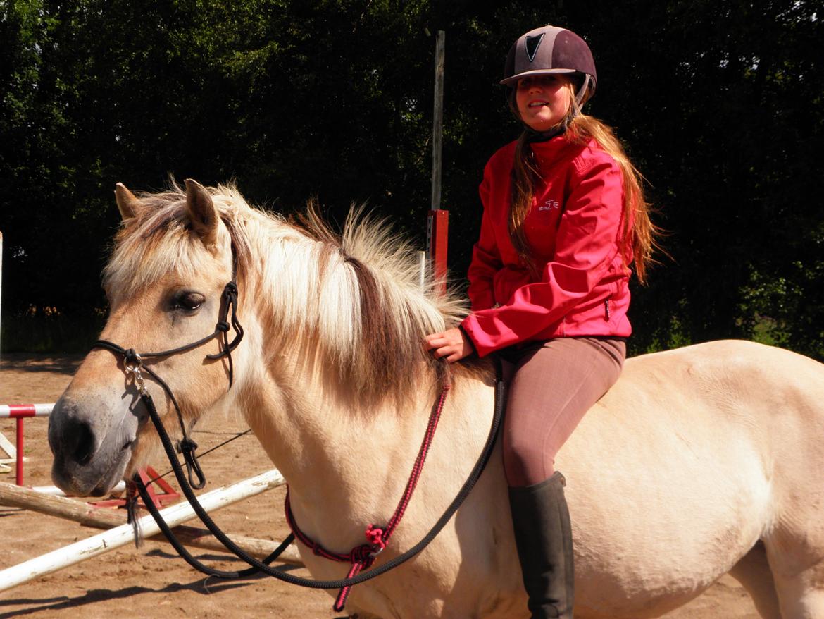 Fjordhest Lulu - *NYT* d. 17-07-2012 bidløs ridning på banen :-)  billede 18