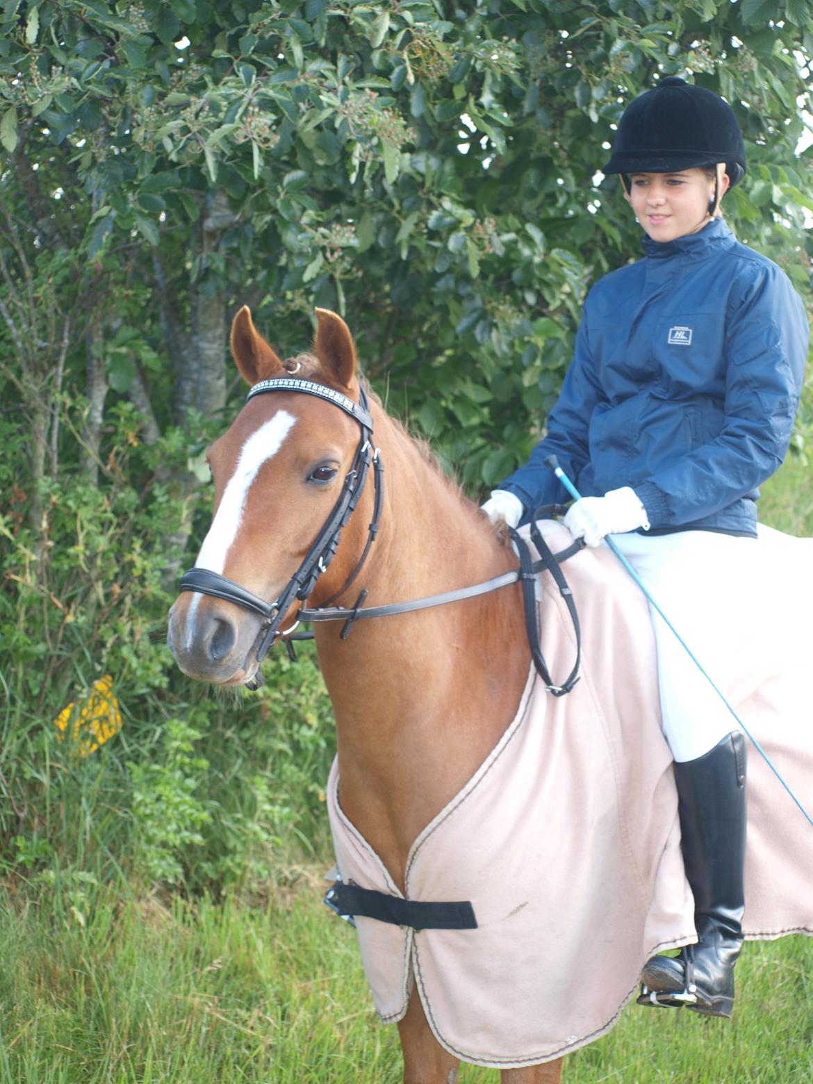 Anden særlig race Tarzan billede 12