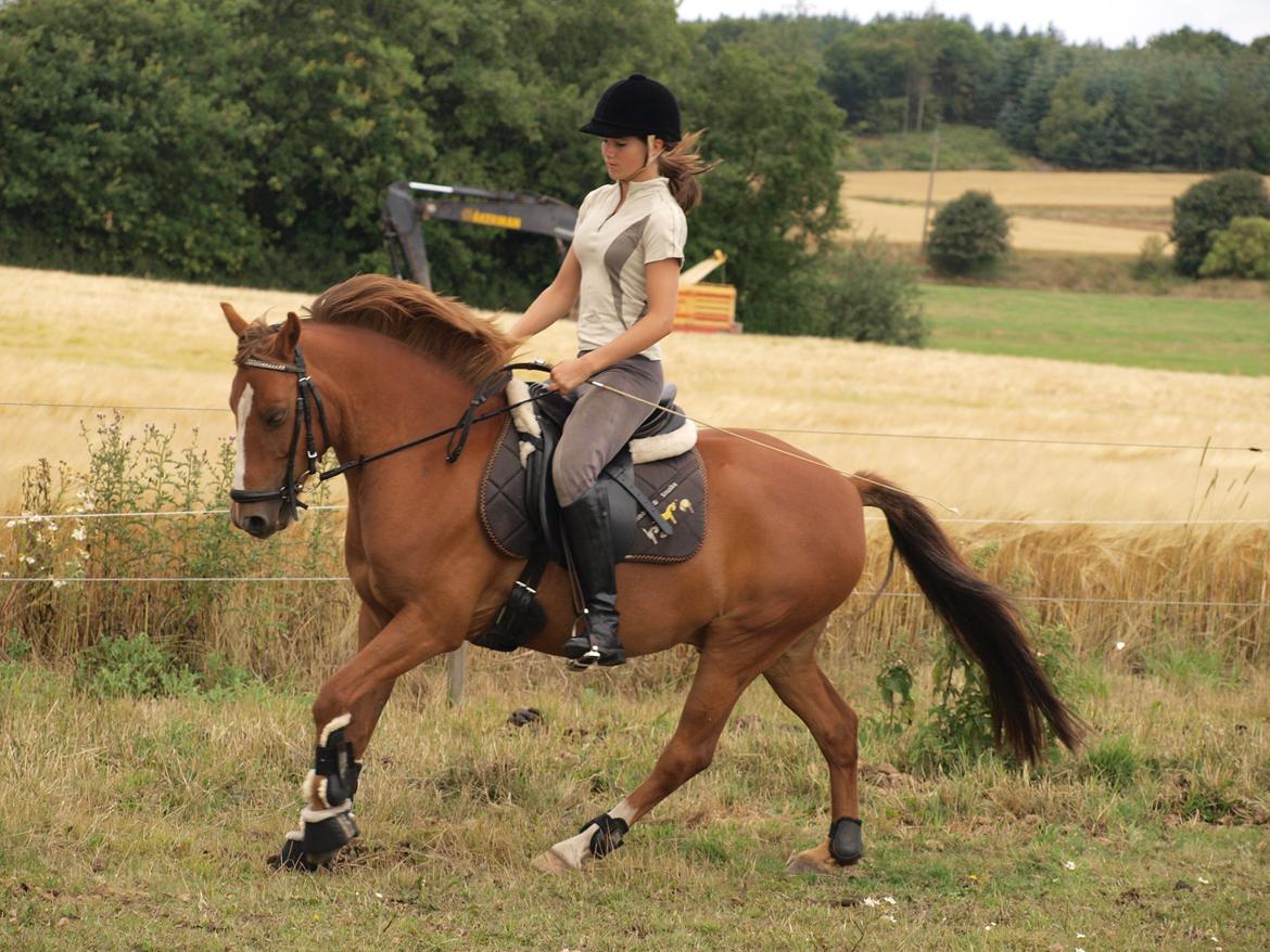 Anden særlig race Tarzan billede 14