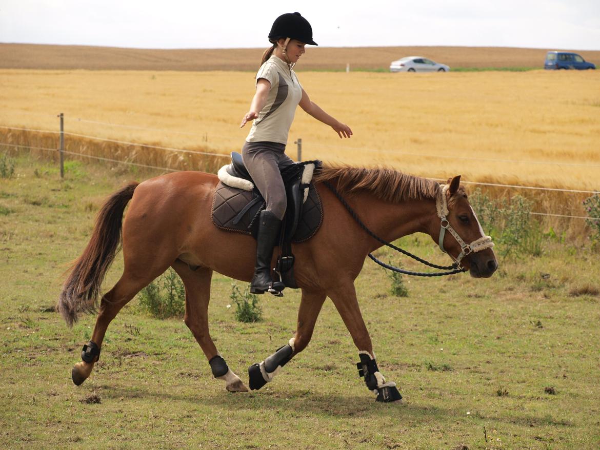 Anden særlig race Tarzan billede 15