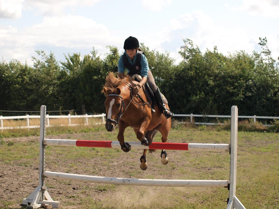 Anden særlig race Tarzan billede 17