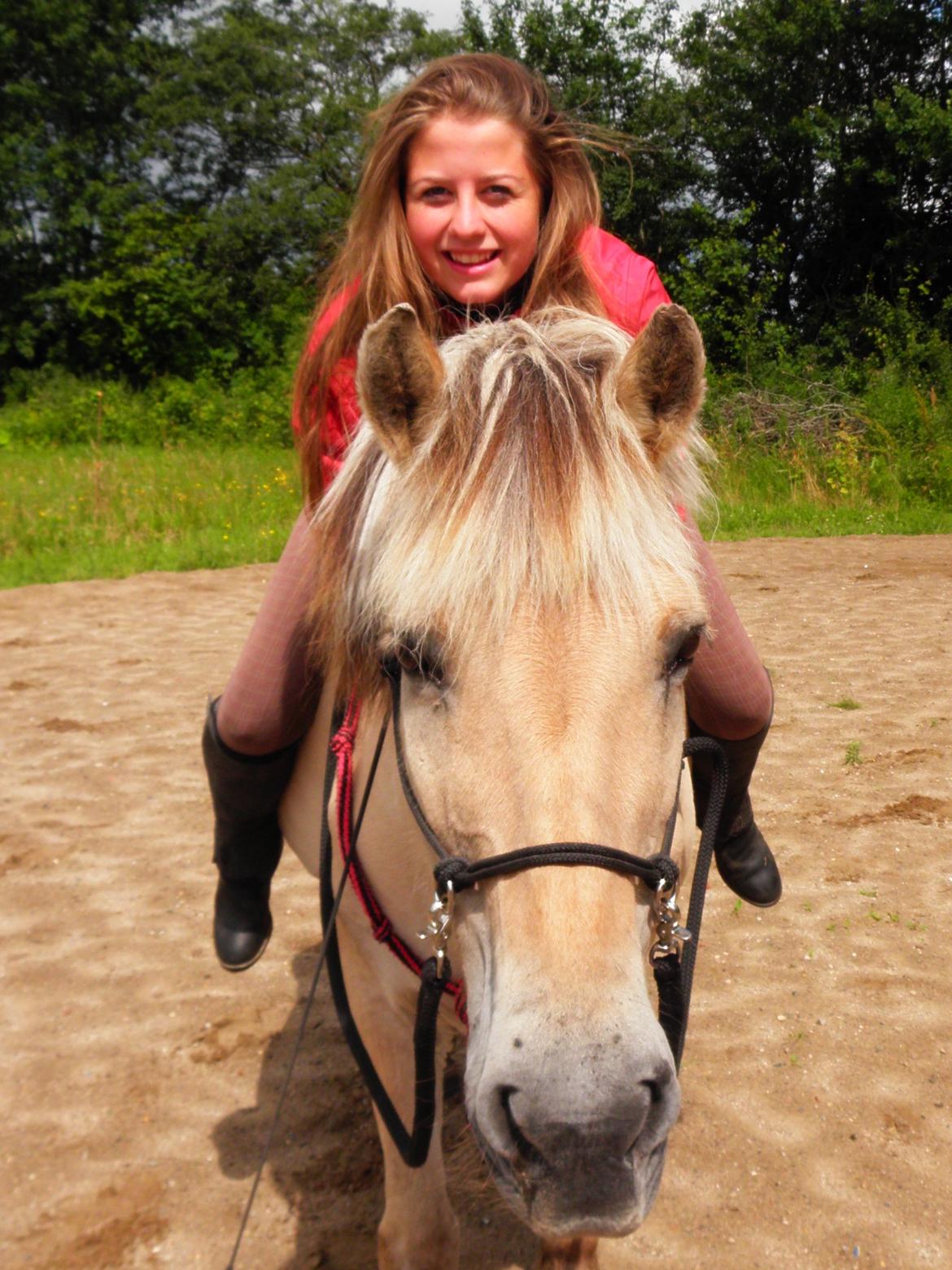 Fjordhest Lulu - *NYT* d. 17-07-2012 billede 14