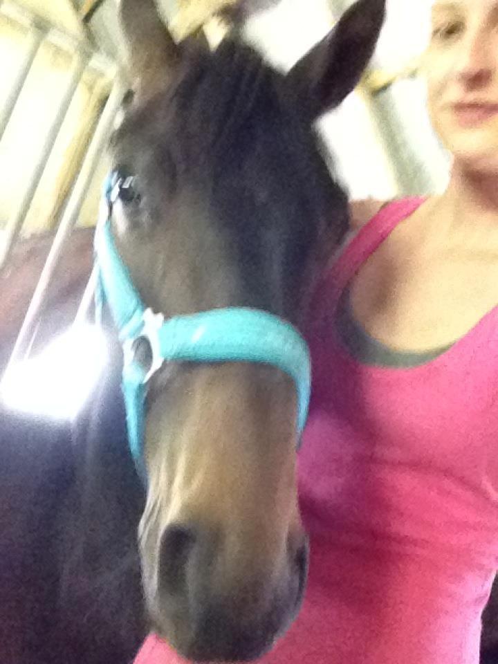 Oldenborg Gørklintgårds Dancing Daisy billede 3