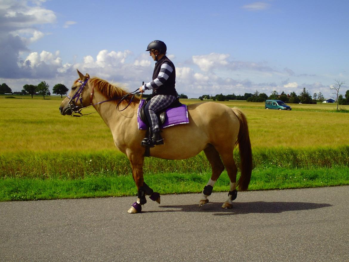 Anden særlig race Serafina billede 2
