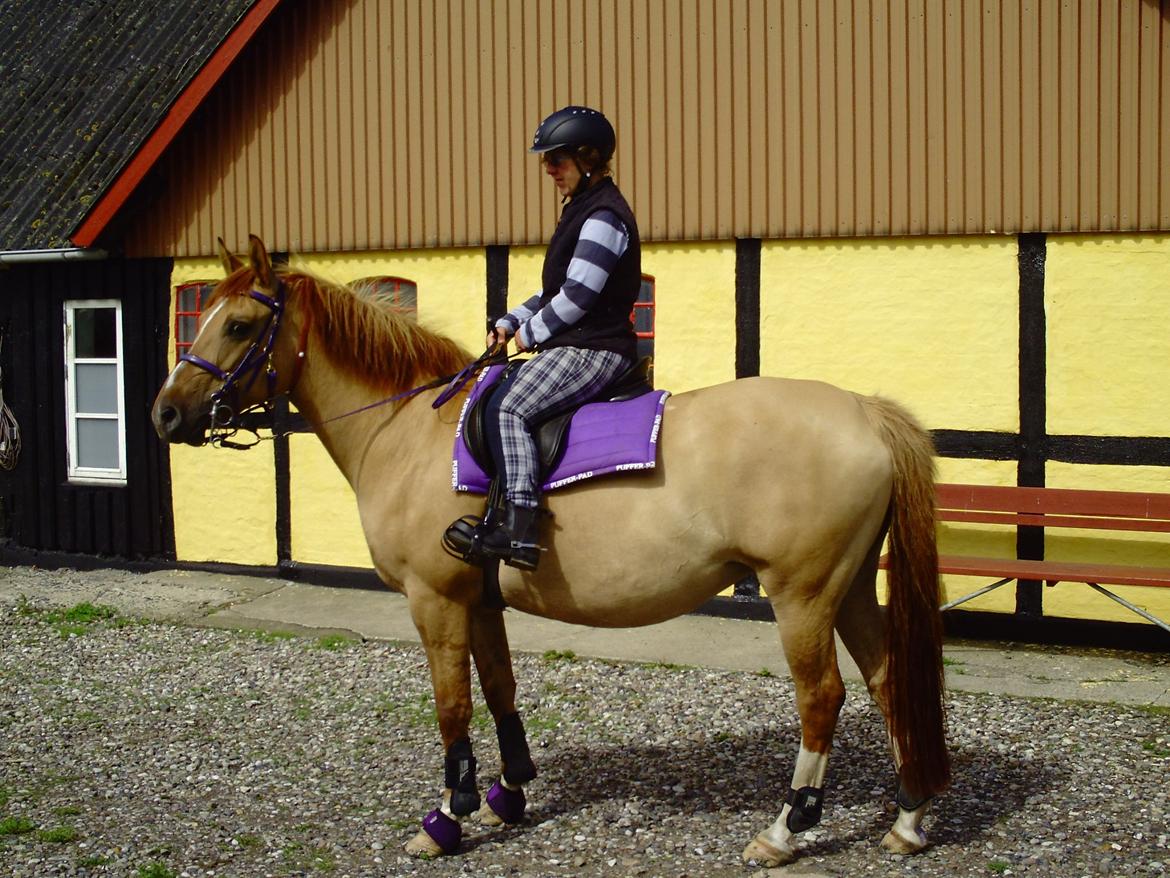 Anden særlig race Serafina billede 4
