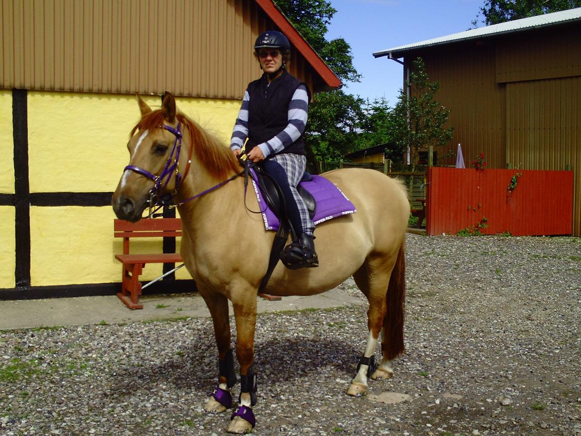Anden særlig race Serafina billede 9