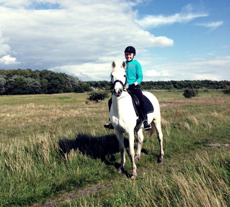 Anden særlig race Shadow (Part) - D. 17/7 -12 
På tur med Melina og Pakito<3 billede 7