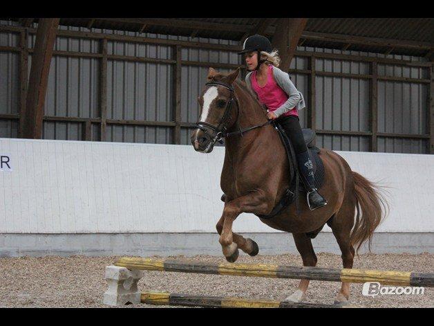 Anden særlig race Tim. <3(red :-'( ) - Spring på Tim.<3

(Foto Emilie.<3) billede 1