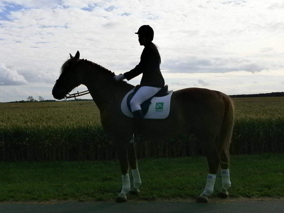 Frederiksborg Niki billede 5