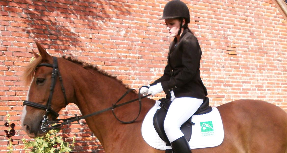 Frederiksborg Niki billede 11