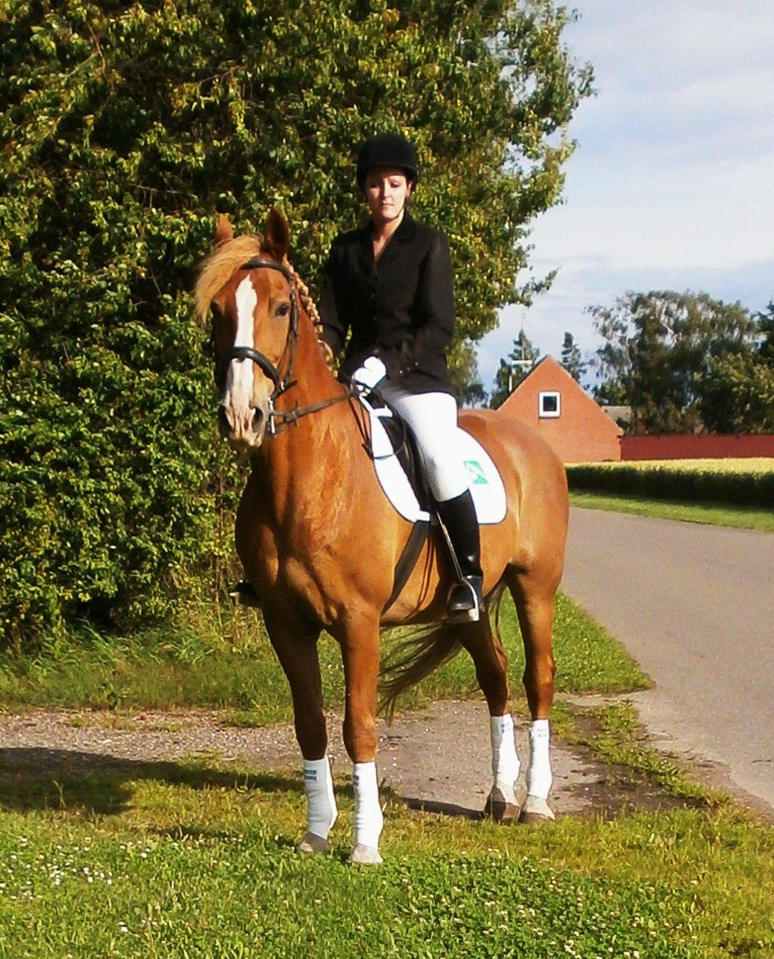 Frederiksborg Niki billede 8