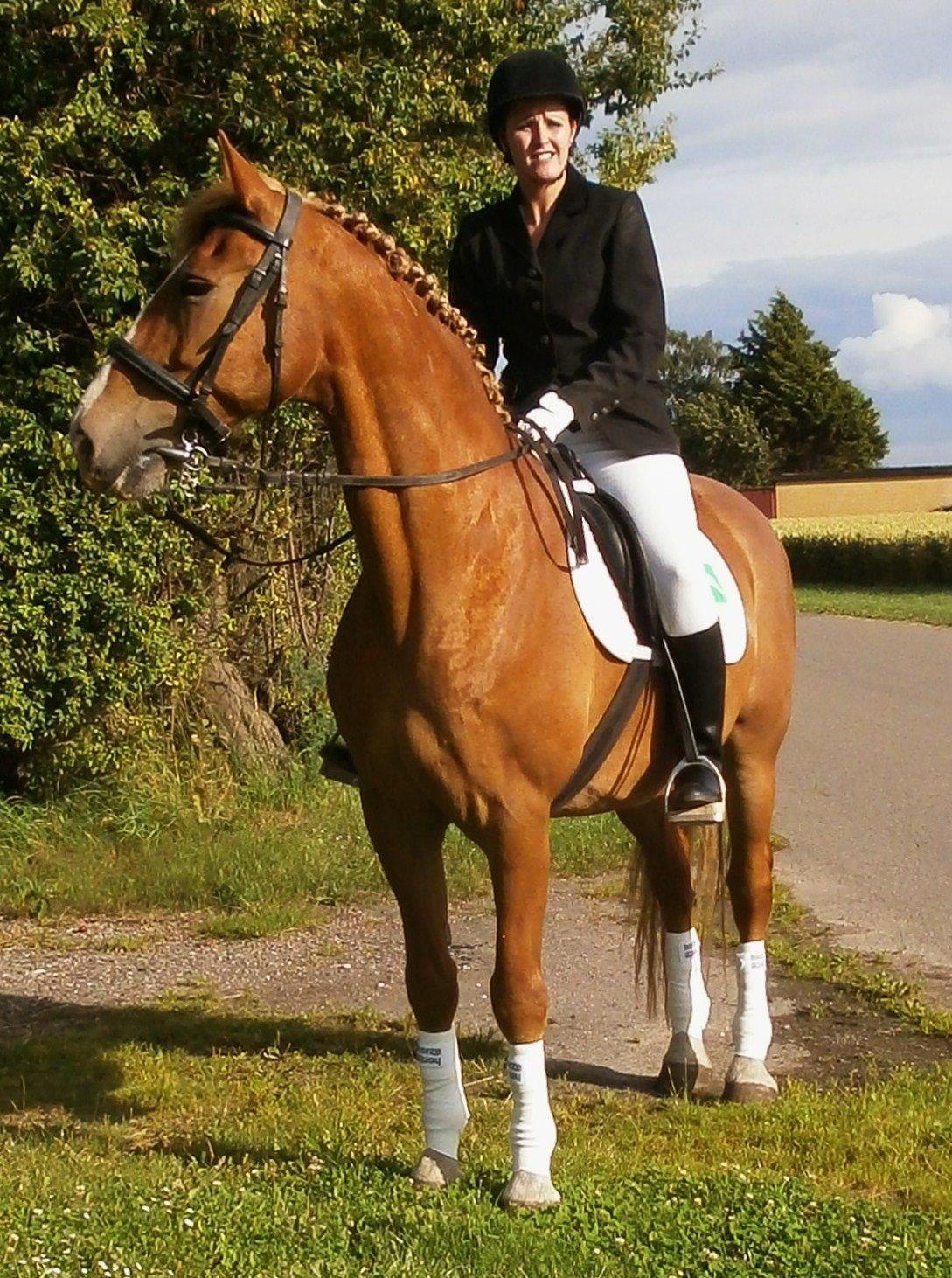 Frederiksborg Niki billede 2