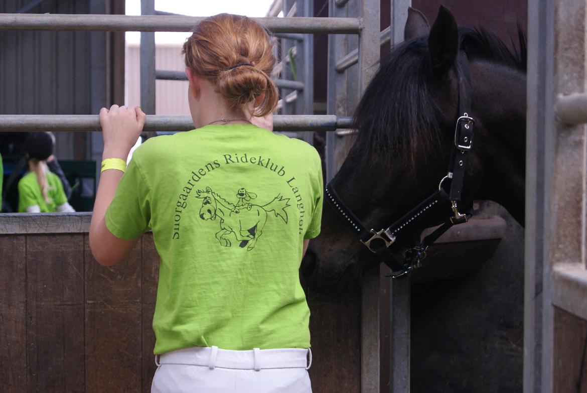 DSP Snorgaardens Mistrael [Rider ikke mere] - Foto: Mig, Vilhelmsborg 2012 billede 12